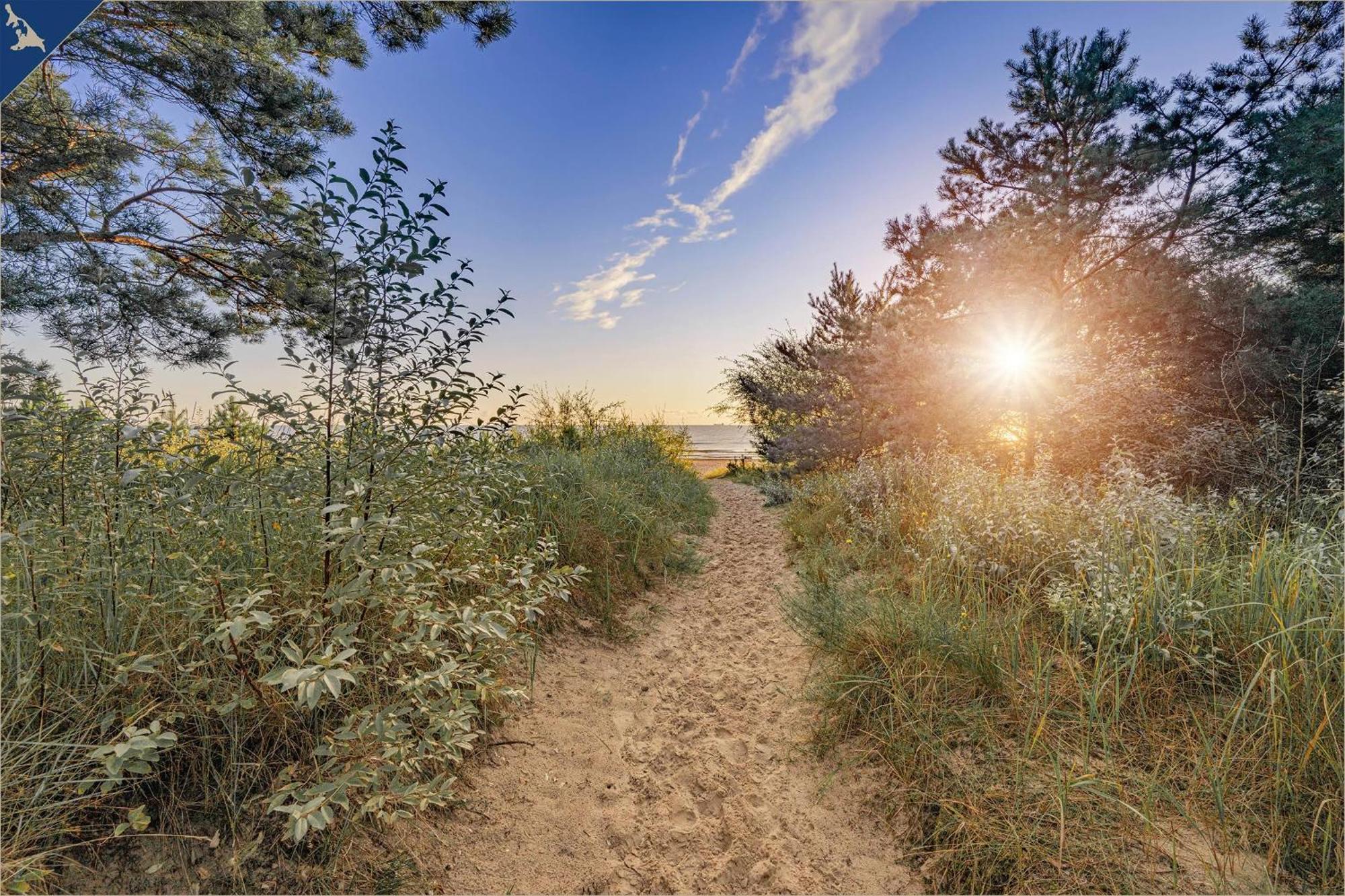 Haus Usedom Appartement Meeresbucht Koserow Dış mekan fotoğraf